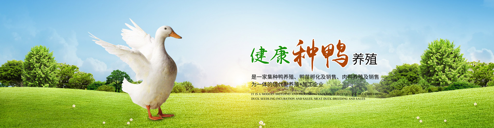 瑞南禽业 瑞南禽业