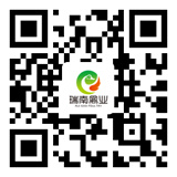 二维码 二维码